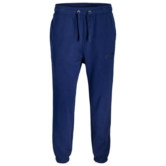 Jack & Jones Ανδρικό παντελόνι φόρμας